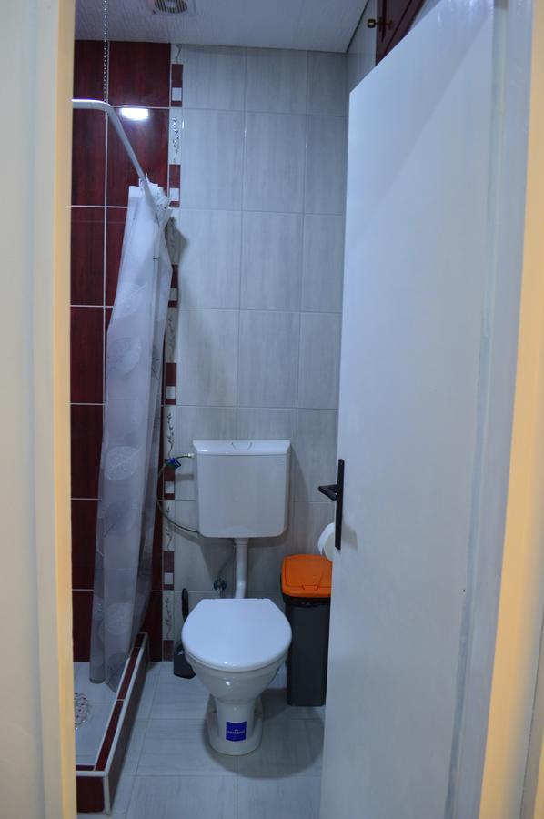 Apartman Linera Sokobanja Exterior foto